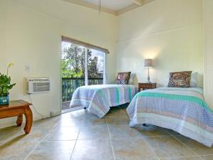 凯阿奥Hawaiian Paradise的一间卧室设有两张床和窗户。