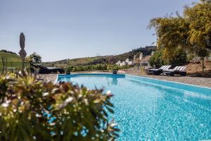 皮萨拉Casa del Pino的庭院内带两把椅子的蓝色游泳池