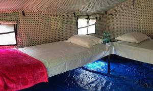 瑞诗凯诗The Raajas - Camp & Resorts的一间带两张床的卧室,位于带窗户的房间内