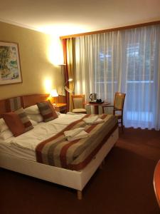 赫维兹Hotel Spa Hévíz的一间酒店客房,房内配有一张大床