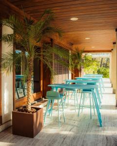埃尔切Hotel Boutique Hort de Nal的一排蓝桌椅,一棵棕榈树