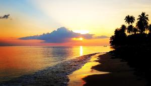 通萨拉Islandlife Bungalows的棕榈树和海洋海滩上的日落