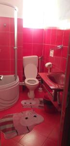 IsvernaAgropensiune Turistica Maria的红色的浴室设有卫生间和水槽