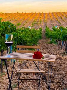 托莱多FINCA VALDELAJARA a 20 minutos de Puy du Fou的餐桌,佐以葡萄酒和葡萄园