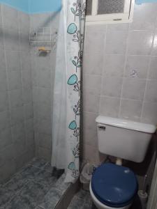 萨尔塔Cabañas La Caballeriza San Lorenzo的一间带卫生间和淋浴帘的浴室