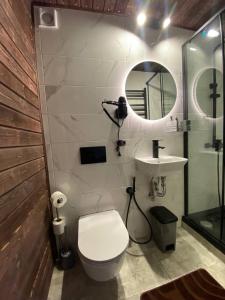 亚列姆切Karpatski Dzherela的一间带卫生间、水槽和镜子的浴室