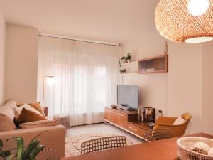 奥洛特Apartament Natura amb Calma的带沙发和电视的客厅