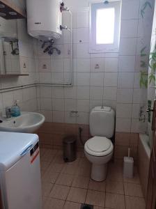 尼亚米卡尼奥纳DESPOINA APARTMENT with garden的一间带卫生间和水槽的浴室