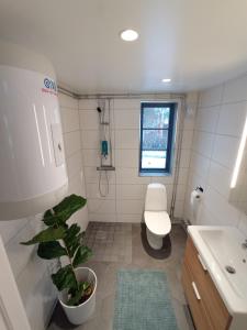韦克舍Hagavik 8的一间带卫生间和植物的浴室