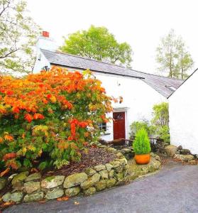 BallyclareRiverside Cottage at Logwood Mill的白色的房子,有红色的门和一些花