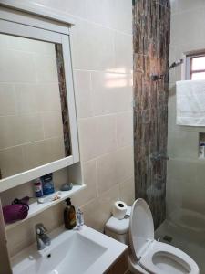 蓬塔卡纳Maison chaleureuse avec Jacuzzi !的浴室配有卫生间、盥洗盆和淋浴。