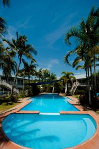 埃尔利海滩芒果屋度假酒店的一个种有棕榈树的大型蓝色游泳池