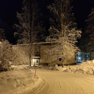 塔库沃里Nilsiä city, Tahko lähellä, 80 m2, include x 2 Ski Pass的夜间雪覆盖的路上的房子