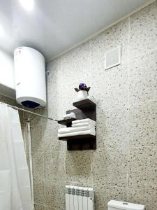 奥什Ocean hotel的一间带卫生间的浴室和一个带毛巾的架子