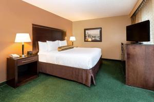 西雅图拉奎恩特西雅图市中心酒店和套房的配有一张床和一台平面电视的酒店客房