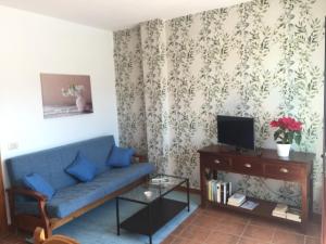 克鲁兹·德·特赫达VV El Almendro的客厅配有蓝色的沙发和电视