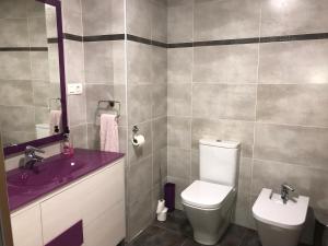 麦迪纳·德尔·坎普Lacasadeyolandayedu的一间带紫色水槽和卫生间的浴室