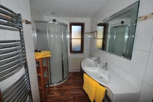 巴特霍夫加施泰因Landhaus Rieser的带淋浴和盥洗盆的浴室