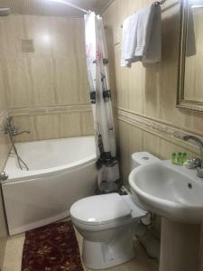 撒马尔罕Meros Boutique Hotel的浴室配有白色卫生间和盥洗盆。