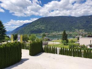 奥西阿赫哈斯霍夫泽博斯特酒店的享有湖泊和山脉景致的围栏