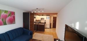 新松奇Apartament Centrum-Klimatyzowany的一间带蓝色沙发的客厅和一间厨房