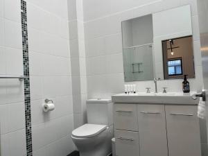 悉尼Modern 2 Bedroom Warehouse Conversion的一间带卫生间、水槽和镜子的浴室