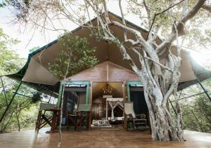 雅拉Tribe Yala - Luxury Camping的帐篷前有棵树