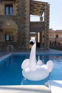 ZonianáFaraggi Villas的游泳池里的白色天鹅