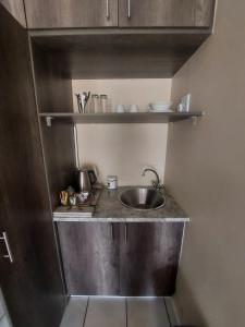 波罗瓜尼DeLutz Overnight Accommodation Room 2的一个带水槽和书架的小厨房