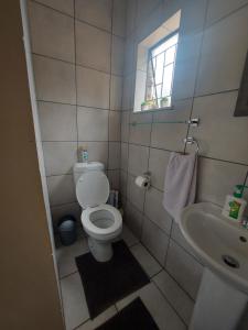 波罗瓜尼DeLutz Overnight Accommodation Room 2的一间带卫生间和水槽的小浴室