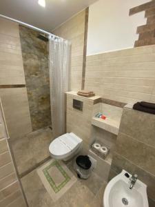 布拉索夫Casa Felice的浴室配有卫生间、淋浴和盥洗盆。