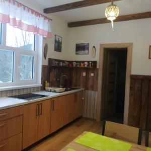 兹蒂尔Chata Liptak的厨房配有木制橱柜、水槽和窗户。