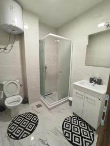 维舍格勒Apartmani Pijemont的带淋浴、卫生间和盥洗盆的浴室
