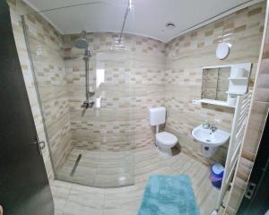 UriuPensiunea Maria的带淋浴、卫生间和盥洗盆的浴室