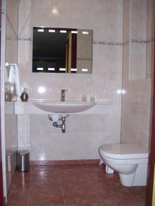 蒙尼肯丹霍文梅尔兹恰特酒店的一间带水槽和卫生间的浴室