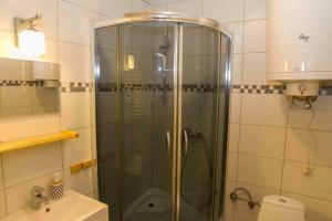 耶维克Apartament Grapa的浴室里设有玻璃门淋浴