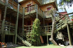 阿尔加罗沃Algarrobo Lodge的一座有楼梯的建筑,前面有一棵树