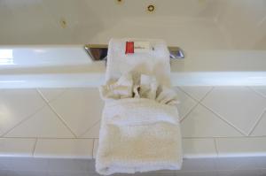 Warrenton沃伦顿速8酒店的浴室毛巾架上挂着两条毛巾