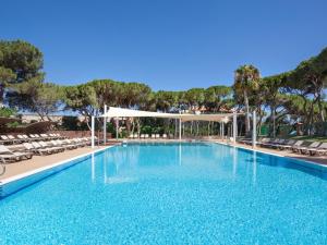 海法丹卡梅尔酒店的一个带椅子和天篷的度假村游泳池