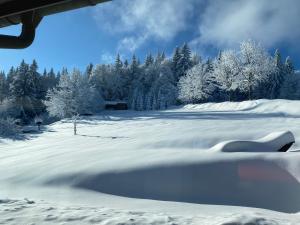 菲利普斯罗伊特Woidrausch´n的一片覆盖着树木的雪地