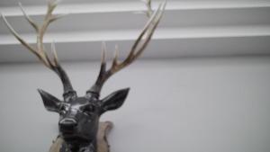 HaggsMango the Hotel的一只在墙上有枝条的驯鹿雕像