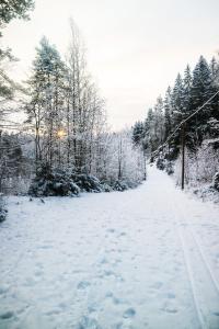 科沃拉Stay Kymi kalustetut huoneistot的一条有雪覆盖的路边树木