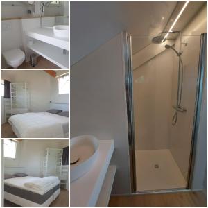 米德尔克尔克Duinengolf 5的带淋浴、卫生间和盥洗盆的浴室