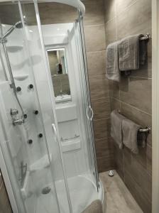 NiederorschelMinicamping und B&B Apartment Hintergarten的带淋浴的浴室和玻璃门