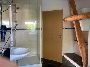 克吕茨Landhausidyll Apartment Wohn- und Schlafzimmer的浴室配有水槽和带水槽的淋浴