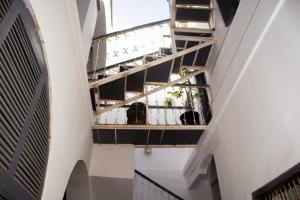 圣路易斯Ndar Ndar House的植物建筑中带楼梯的走廊