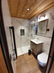 Chalet Delphinette - Spa privatif的一间浴室