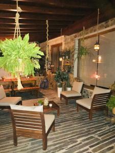 拉梅戈卡萨乐洛基代索勒酒店的客厅配有桌椅和植物