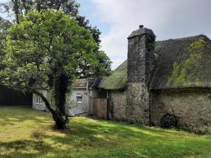 普里茅斯Quintessential, secluded South Devon cottage的一座古老的石头房子,屋顶上盖着苔 ⁇ ,树