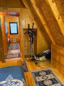 扎布利亚克Holiday Home Vojinovic的一间位于小木屋内的房间,设有健身房